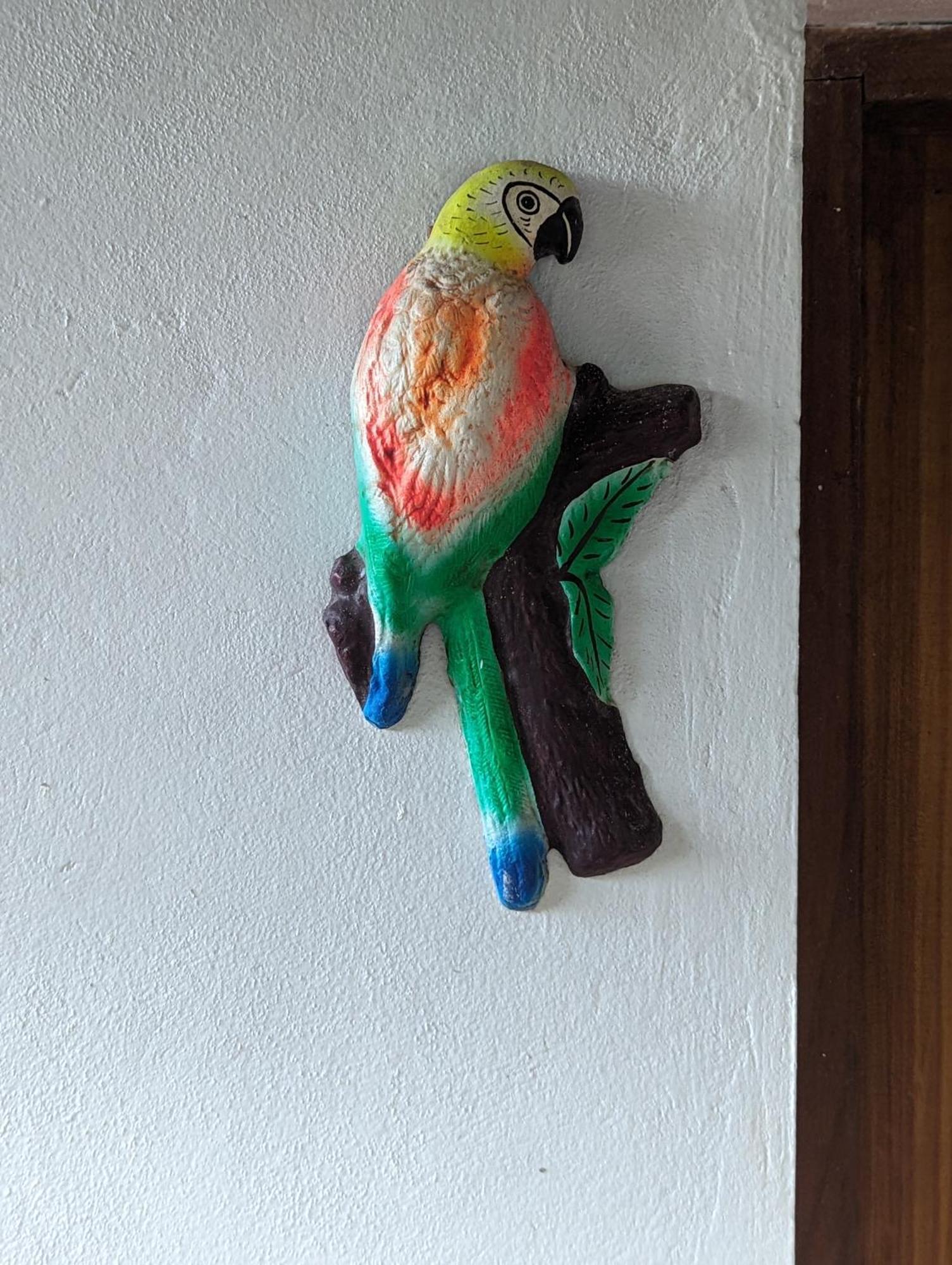 Hotel Playa Santa Martha 里瓦斯 外观 照片