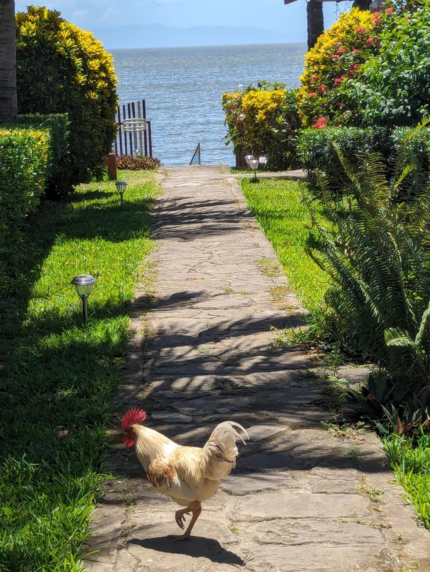 Hotel Playa Santa Martha 里瓦斯 外观 照片