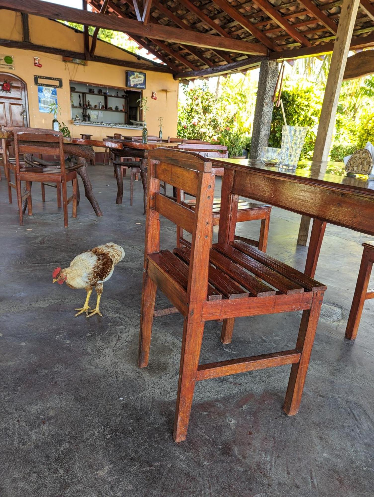 Hotel Playa Santa Martha 里瓦斯 外观 照片